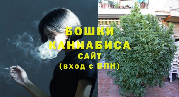 стаф Абдулино