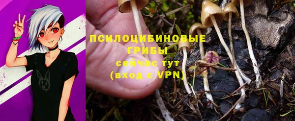 стаф Абдулино